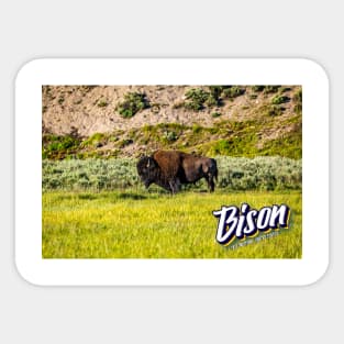 Bison at Yellowstone Sticker